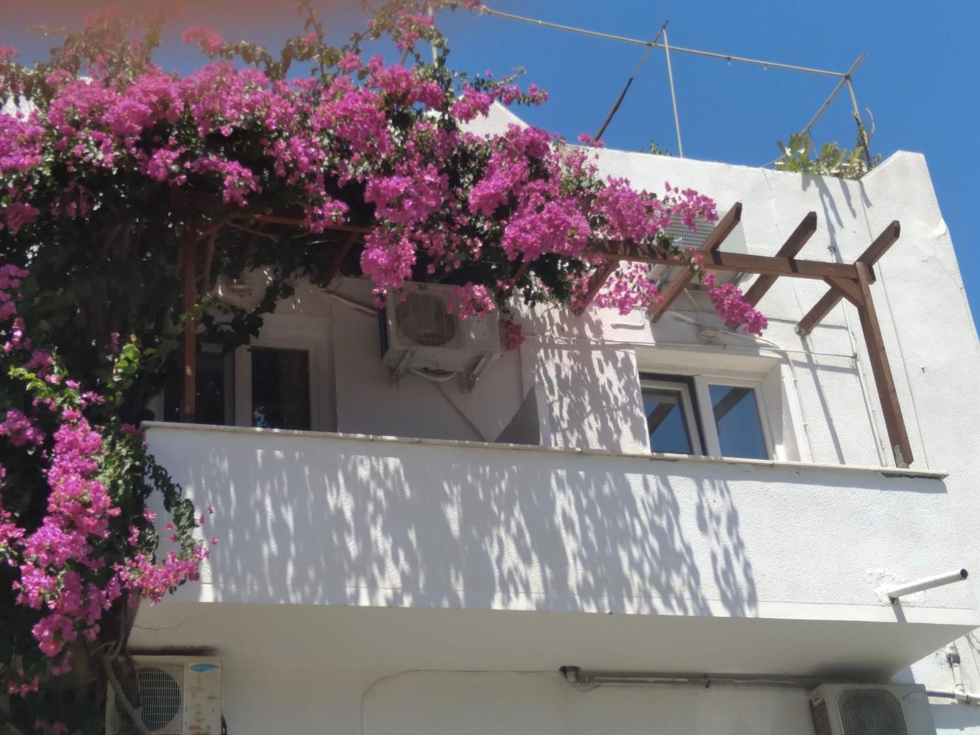 Iokasti Studios Andros Town Bagian luar foto